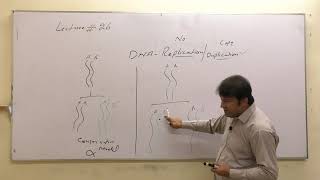 Biology Chapter 23 Chromosome and DNA Lecture 26 Part 2 [upl. by Ahsenid583]