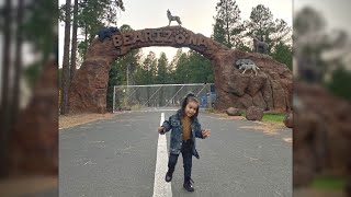 BEARizona Drive Thru Zoo in Williams Arizona [upl. by Dorca]