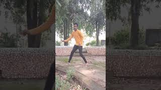 Brown Munde Remix Song Dance BrownMundeDance [upl. by Georgetta]