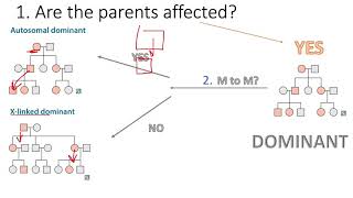 How To Solve ANY Pedigree Without Reading the Question USMLE [upl. by Cavanaugh]