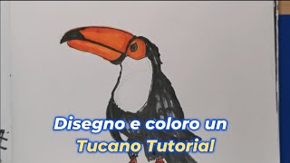 Disegno e coloro luccello Tucano Tutorial [upl. by Olegnaed]