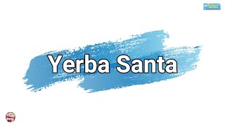 Yerba Santa [upl. by Idnyl]