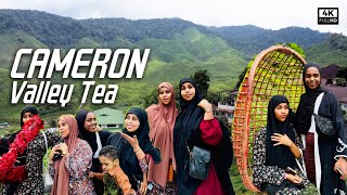 BURAHA CAMERON VALLEY TEA AYA KU DAL XIISNAY myrajo [upl. by Leihcim]