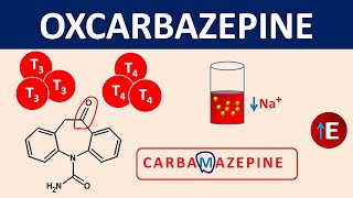 Oxcarbazepine  Mechanism side effects precautions amp uses [upl. by Leugimsiul39]