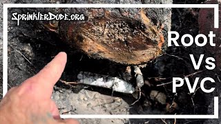 PVC Pipe vs Roots How to Fix Damage in Your Irrigation System [upl. by Allare]