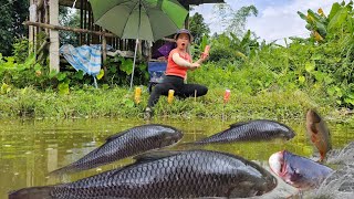 The technique of fishing with water bottles is simple resulting in catching many big fish [upl. by Stav]