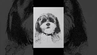 pointillism drawing 🐶 art drawing trending youtube viralvideo pointillism penart yt dog [upl. by Edsel290]