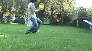 Allenamento con il frisbee 2 [upl. by Siddon932]