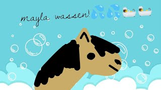 mayla wassen💦🛀 ponytail1218  hobbyhorse  wassen [upl. by Aicemed]