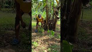 Di namalayan khemyattv funny comedyclips justforfun justlaughtrip comedyvideos funnyvideos [upl. by Milissent]