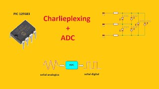 PIC12F683 ADC 10 bits Led Bar [upl. by Eednim]