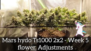 Mars Hydro Ts1000 Ep8  Flower adjustment [upl. by Oniger361]