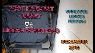 Urban Worm Bag Reset Feeding Shredded Leaves in an Inside Bin [upl. by Nuawaj]