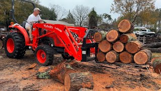 Another Forking Day and Stihl Ms391 woodsplitting firewood stihlchainsaw [upl. by Syah501]