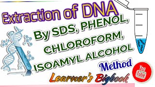 DNA extraction by SDS Method  Phenol Chloroform mixture [upl. by Ratcliffe]