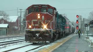 CN Train 532 Moving to the North Yard February 16 2024 [upl. by Imar]