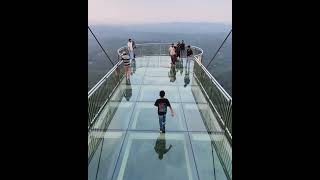 Glass Bridge  Mini Ootyglassbridgefunny [upl. by Luby]