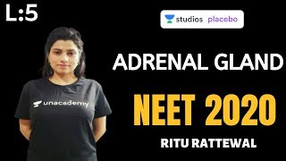 L5 Adrenal Gland  Endocrine System  Premedical  NEETAIIMS  NEET 2020 [upl. by Nittirb]