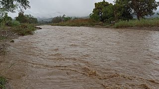 ASÍ SE VE EL RÍO CUANDO LLUEVE ACATLÁN DE OSORIO PUE [upl. by Ennovy]