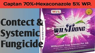 Wilstrong Contect amp Systemic Fungicide  Captan 70 Hexaconazole 5 WP [upl. by Krishnah]