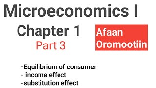 Equilibriums of consumer Microeconomics I Chapter 1 part 3 Fortino Academics [upl. by Jabon]