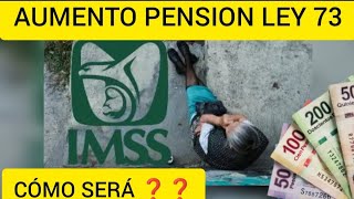 MODIFICACIÓN A LA PENSION IMSS LEY 73 AUMENTO🧐💲💳💵 [upl. by Imena]