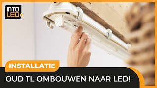 Hoe bouw je een TL armatuur om naar LED  INTOLED [upl. by Nilson205]