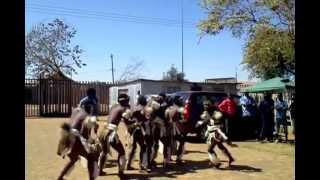 ZamaShenge Zulu dancers [upl. by Naget]