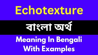 Echotexture meaning in bengaliEchotexture শব্দের বাংলা ভাষায় অর্থ অথবা মানে কি [upl. by Fatsug]