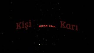 Kardeşim Helikopter Lyrics [upl. by Reemas]