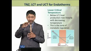 TNZ LCT and UCT for Endotherms  Animal Physiology and Behavior Theory  ZOO502TTopic224 [upl. by Kory]