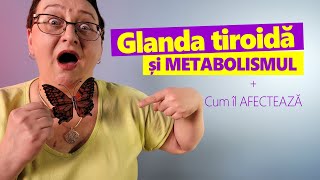 GLANDA TIROIDĂ Cum îți poate dezechilibra metabolismul [upl. by Ymorej]