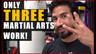 3 Best Martial Arts Styles  No Its Not Yours [upl. by Alel]