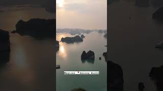 Die wunderschöne Halong Bucht in Vietnam [upl. by Lamej70]