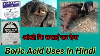 Boric Acid Uses In Hindi  Boric Acid Powder  बोरिक ऐसिड का उपयोग बहुत लाभदायक [upl. by Annadiane749]