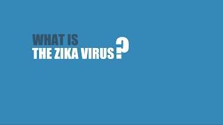 What is the Zika virus and how dangerous is it [upl. by Ahsenrac625]