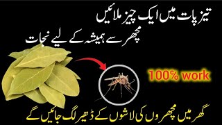 Get rid of rats Mosquito cockroach lizard with homemade spraypowerful insects killer remedy🙄 [upl. by Eph]