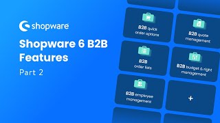 Shopware 6 B2B Features Part 2 [upl. by Aramanta]