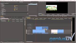 Adobe Premiere Full Screen Filmstrip [upl. by Akerley288]