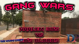 A Harlem 30s Crip And A 20s Blood Use WEPONS Against One Another [upl. by Croteau]