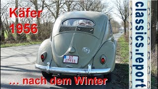 VW Käfer 1956  quotOvalscheibe Ovaliquot  Beschreibung und Ausfahrt [upl. by Airotal]