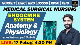 Endocrine System  Anatomy amp Physiology  NORCET amp Other Nursing Exams  Raju Sir [upl. by Ydnih]