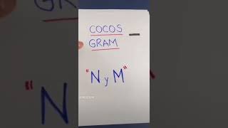 Cocos gram negativosMicrobiologia [upl. by Essyla]