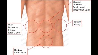 Clinical Features Signs and Symptoms of Abdominal Injuries [upl. by Alexio]