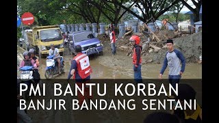 Respon PMI bantu korban banjir bandang Sentani Jayapura I KABAR PMI [upl. by Yeleek]