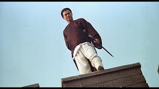 The Legend of Fong Sai Yuk 1993 方世玉 방세옥 Ending Scene HD [upl. by Akitahs]