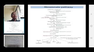 Acetate Mevalonate Pathway [upl. by Inat]