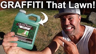 Does Lawn Paint Work Instant Green Grass Before amp After [upl. by Adnuahsor292]