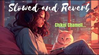 Chikni Chameli Slowed  Reverb  Agneepath Katrina Hrithik Shreya GhoshalsonymusicindiaVEVO [upl. by Ailekat]