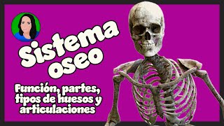 Sistema óseo  esquelético hueso [upl. by Nedyah]